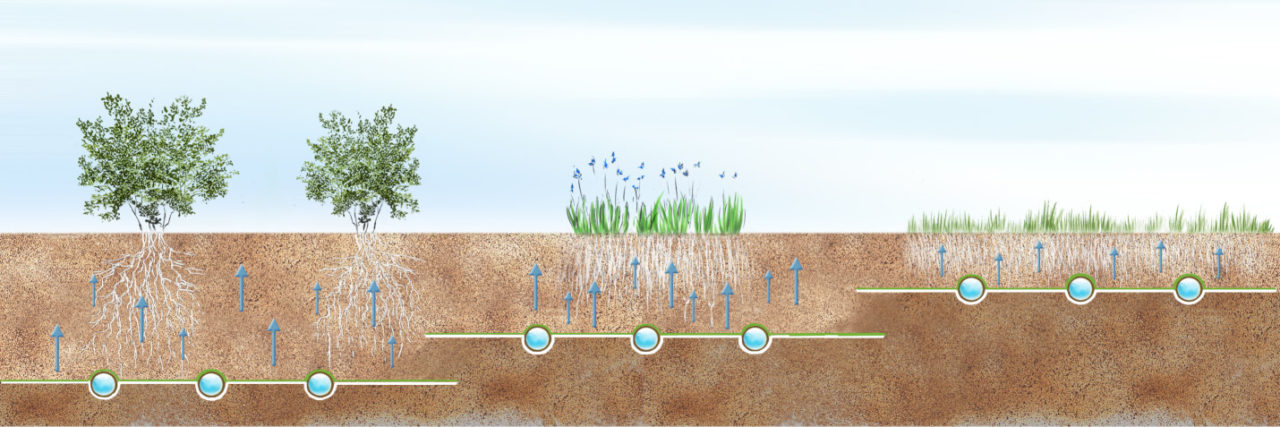 ECO Rain i.mat Unterirdische Gartenbewässerung